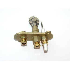 Waakvlambrander Dru Fox